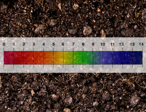 Interpreting Soil Test Results