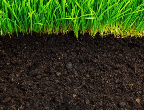 Is Your pH Where It Needs To Be?