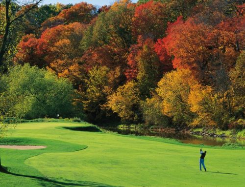 Gypsum and Lime Applications to Turf Grass